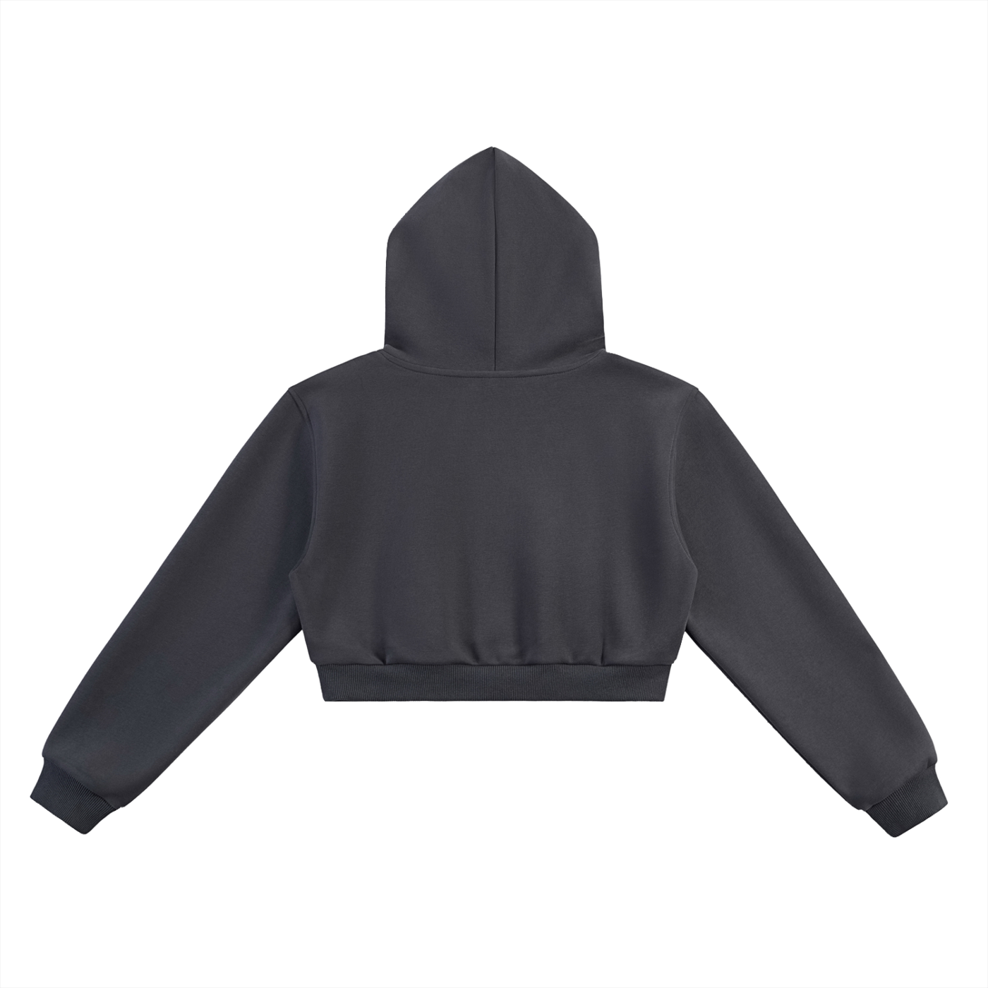 ERA Cropped (Women) Hoodie