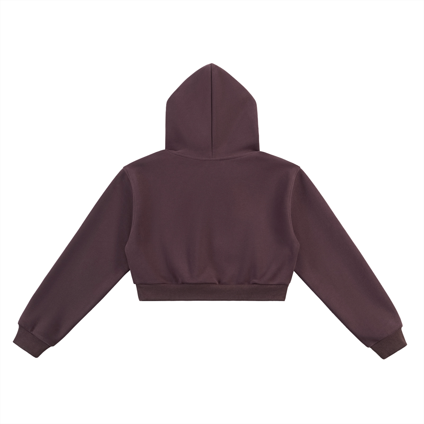 ERA Cropped (Women) Hoodie